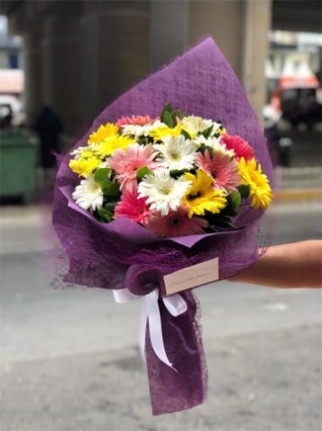 karışık mevsim çiçekleri